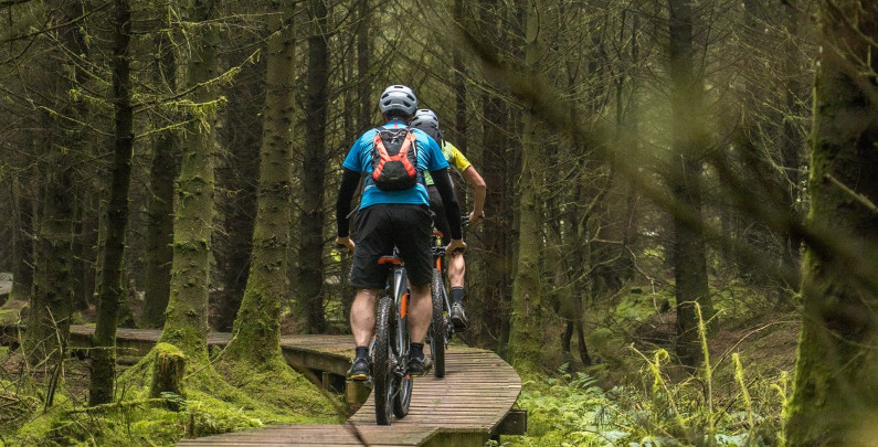 Mountain bikers on rostrevor red trail www.hillyard-house.co.uk