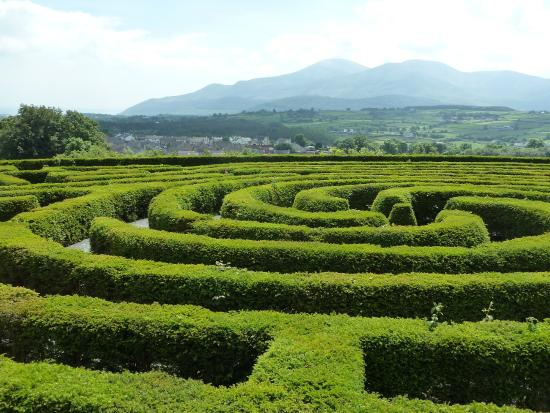 castlewellan forest park